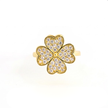 Bague anti-stress Ajustable - Leiyana